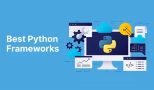 Python Web Frameworks (Backend)